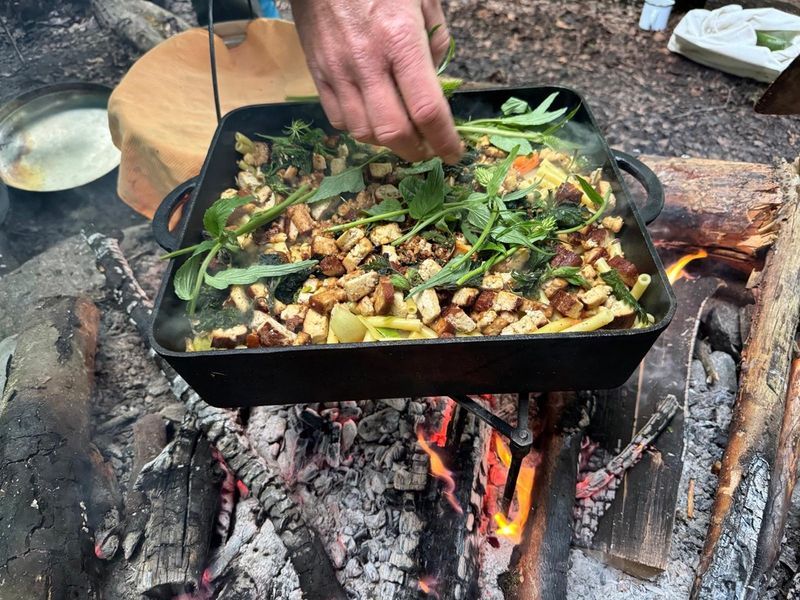 Tofugemüsepfanne mit frischen grünen Kräutern aus dem Wald über einem selbstgemachten Feuer in Gusspfanne